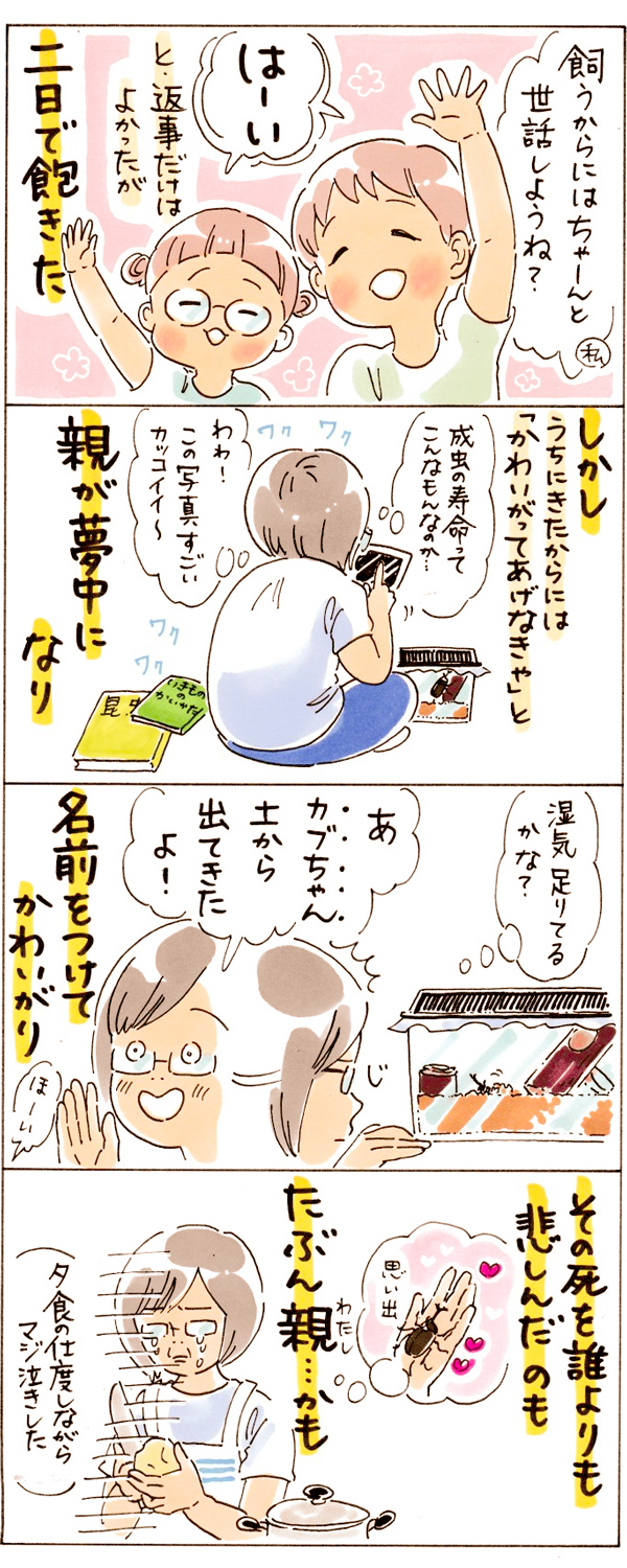 虫は苦手なのに…小学生の親は避けられない？ 夏休みの昆虫飼育デビュー！【おててつないで 〜なかよし兄妹の癒され日記〜 第36話】