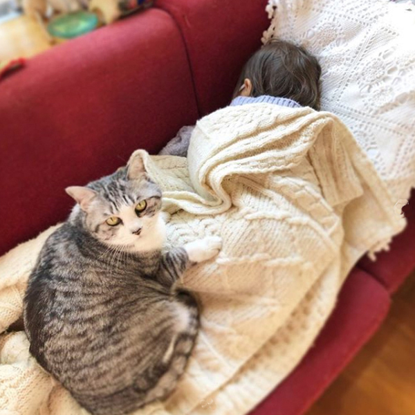 坂本美雨さんに聞く、動物たちにできることと「いぬねこなかまフェス」