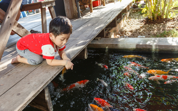 子どもは事故と隣り合わせ!? 「一瞬で起こるヒヤリ事故」体験談【パパママの本音調査】  Vol.347