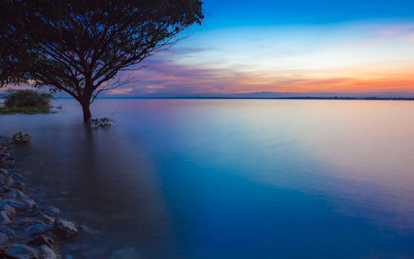 8月26日～9月1日の週間運勢占いランキング！　1位の星座は…？