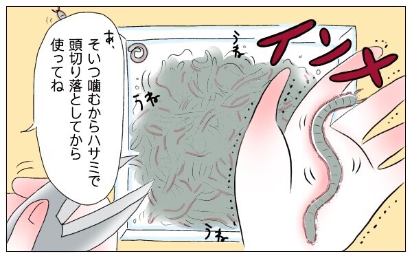 夫婦は合わせ鏡 趣味が真逆の夫の態度に傷ついてきたけど逆の立場では 泣いて 笑って グラハムコソダテ Vol 34 ウーマンエキサイト 2 3