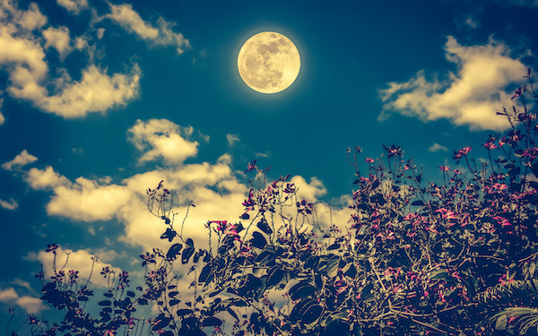 9月16日～9月22日の週間運勢占いランキング！　1位の星座は…？