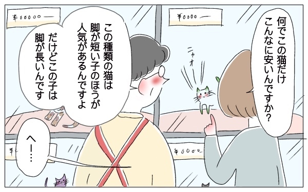 家族の一員である猫に異変…初めての子育てで充分かまえなかったから？【泣いて！ 笑って！ グラハムコソダテ  Vol.35】