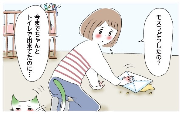 家族の一員である猫に異変 初めての子育てで充分かまえなかったから 泣いて 笑って グラハムコソダテ Vol 35 ウーマンエキサイト 2 2