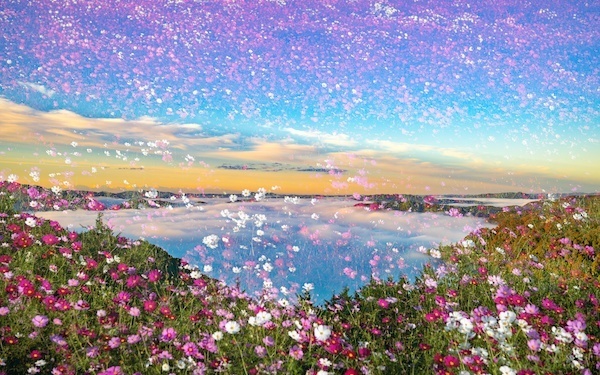 10月14日～10月20日の週間運勢占いランキング！　1位の星座は…？