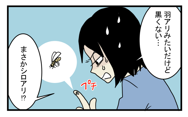 「ヒアリ」のような虫が自宅にいて大騒ぎに！ 黄色い羽アリの正体とは？【こどもと見つけた小さな発見日誌 Vol.7】