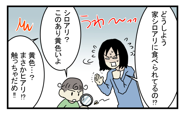 「ヒアリ」のような虫が自宅にいて大騒ぎに！ 黄色い羽アリの正体とは？【こどもと見つけた小さな発見日誌 Vol.7】