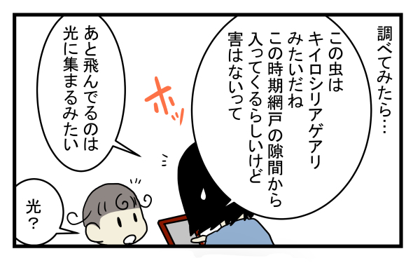 「ヒアリ」のような虫が自宅にいて大騒ぎに！ 黄色い羽アリの正体とは？【こどもと見つけた小さな発見日誌 Vol.7】