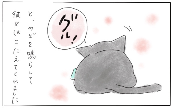 うちの猫は子煩悩？ 夜間授乳に、お風呂のお手伝いに、おままごとまで!!【今日もママにおつかれさま!! ～ママ楽レシピつき～ Vol.9】