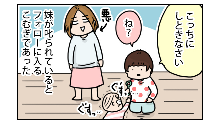 いつもケンカばかり…と思ってたら、いきなり団結する姉妹！【こむぎときなこ Vol.5】