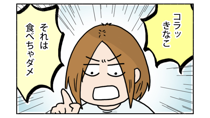 いつもケンカばかり…と思ってたら、いきなり団結する姉妹！【こむぎときなこ Vol.5】