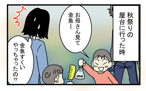 子どもが急に金魚を連れて帰ってきても大丈夫！ 簡単でお金のかからない「金魚の飼い方」とは？【こどもと見つけた小さな発見日誌 Vol.8】