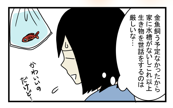 子どもが急に金魚を連れて帰ってきても大丈夫！ 簡単でお金のかからない「金魚の飼い方」とは？【こどもと見つけた小さな発見日誌 Vol.8】