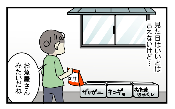 子どもが急に金魚を連れて帰ってきても大丈夫！ 簡単でお金のかからない「金魚の飼い方」とは？【こどもと見つけた小さな発見日誌 Vol.8】
