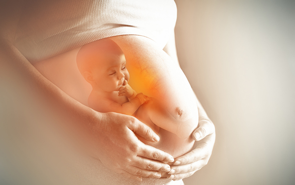 【医師監修】ほうじ茶のカフェイン量は？　妊娠中に飲んでも平気？