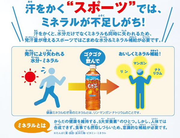 かけっこって楽しい！　運動の秋こそ上手にミネラル＆水分補給をしよう