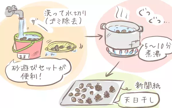 秋だからこそ楽しめる！ どんぐりやまつぼっくりを使った親子の工作遊び【ゆるっとはなまる育児 第25話】
