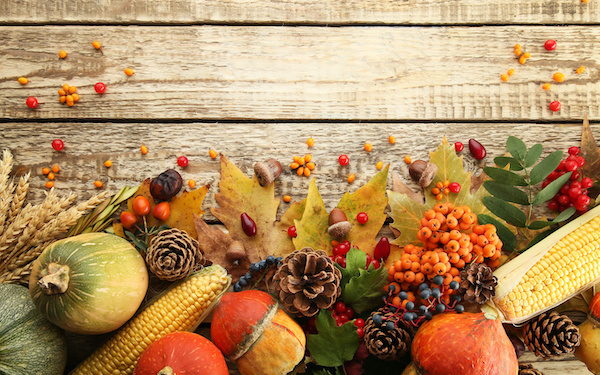 11月18日～11月24日の週間運勢占いランキング！　1位の星座は…？