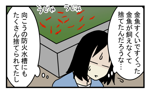 捨てられていた金魚を自宅に連れて帰ったところ…金魚の体に異変が!?【こどもと見つけた小さな発見日誌 Vol.9】