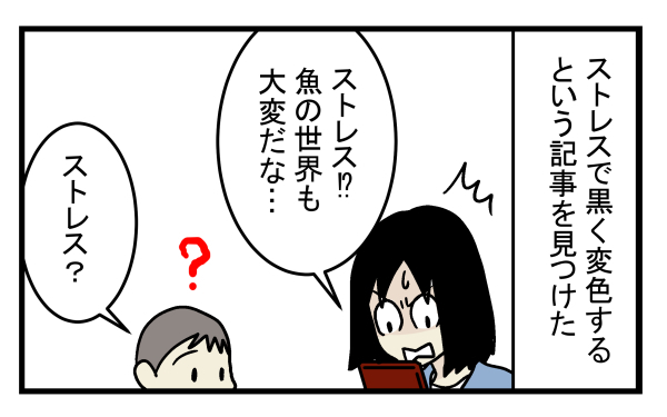 捨てられていた金魚を自宅に連れて帰ったところ…金魚の体に異変が!?【こどもと見つけた小さな発見日誌 Vol.9】