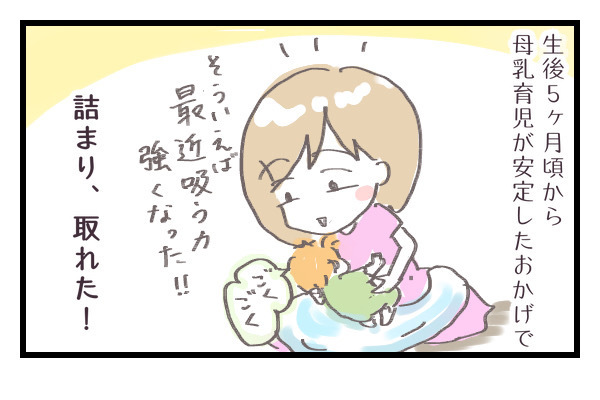 乳腺炎が不安！　結婚披露宴に出席したいけど本当に行ける…？【シャトー家の観察絵日記 Vol.3】