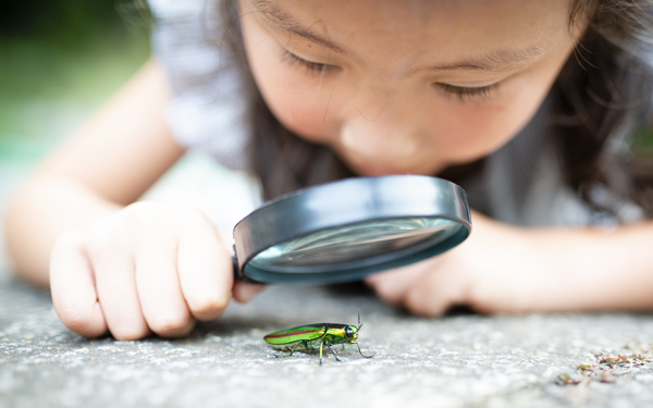 親の価値観が「その子がその子らしく育つ」を壊している!?【「みんなの学校」から親の意識を変える 第2回】