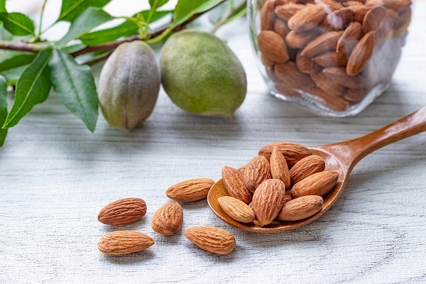 【医師監修】アーモンドは食べ過ぎると危険!?　体への影響とは