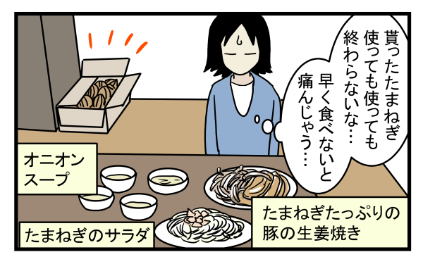 長男もビックリ！ 調理したら突然「ピンク色」になった玉ねぎの謎【こどもと見つけた小さな発見日誌 Vol.10】