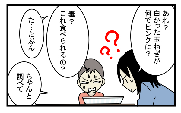 長男もビックリ！ 調理したら突然「ピンク色」になった玉ねぎの謎【こどもと見つけた小さな発見日誌 Vol.10】