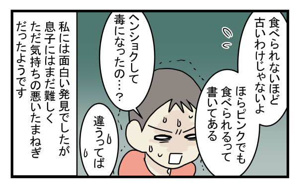 長男もビックリ！ 調理したら突然「ピンク色」になった玉ねぎの謎【こどもと見つけた小さな発見日誌 Vol.10】