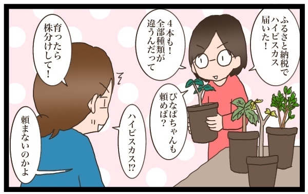 ママが簡単にできる、ちょっとしたお楽しみ！　ふるさと納税活用のコツ【猫の手貸して～育児絵日記～ Vol.8】