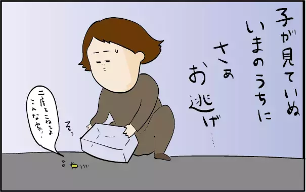 子どもに命の大切さを教えてくれた…新しい家族、二匹のクワガタ（1）【ズボラ母の三兄弟カオス日記 第42話】