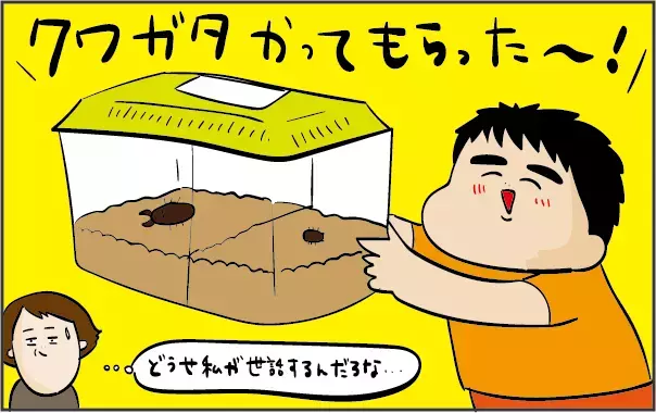 子どもに命の大切さを教えてくれた…新しい家族、二匹のクワガタ（1）【ズボラ母の三兄弟カオス日記 第42話】