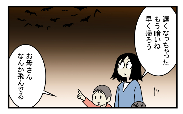 ゴキブリやネズミ以上の脅威かも!?  意外と身近にいたコウモリの話【こどもと見つけた小さな発見日誌 Vol.11】