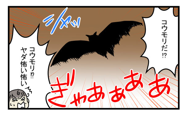 ゴキブリやネズミ以上の脅威かも!?  意外と身近にいたコウモリの話【こどもと見つけた小さな発見日誌 Vol.11】