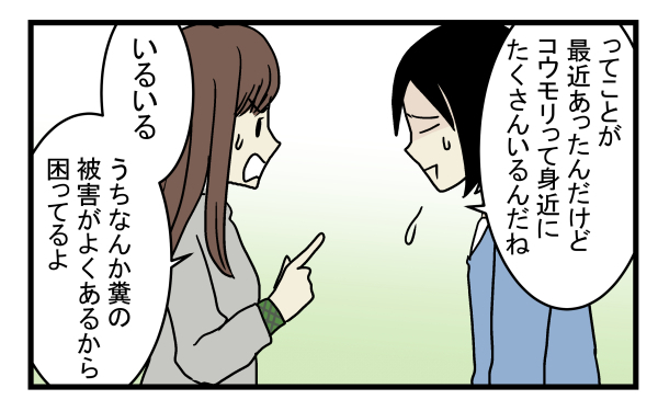 ゴキブリやネズミ以上の脅威かも!?  意外と身近にいたコウモリの話【こどもと見つけた小さな発見日誌 Vol.11】
