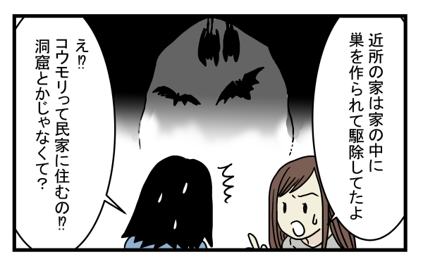 ゴキブリやネズミ以上の脅威かも!?  意外と身近にいたコウモリの話【こどもと見つけた小さな発見日誌 Vol.11】