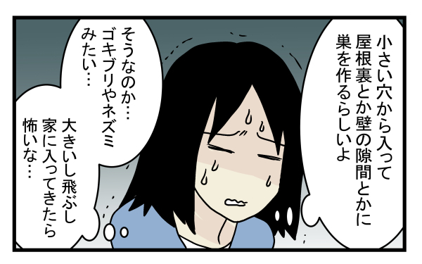 ゴキブリやネズミ以上の脅威かも!?  意外と身近にいたコウモリの話【こどもと見つけた小さな発見日誌 Vol.11】