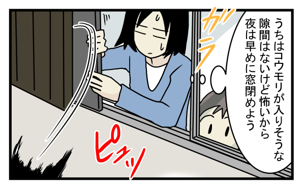 ゴキブリやネズミ以上の脅威かも!?  意外と身近にいたコウモリの話【こどもと見つけた小さな発見日誌 Vol.11】