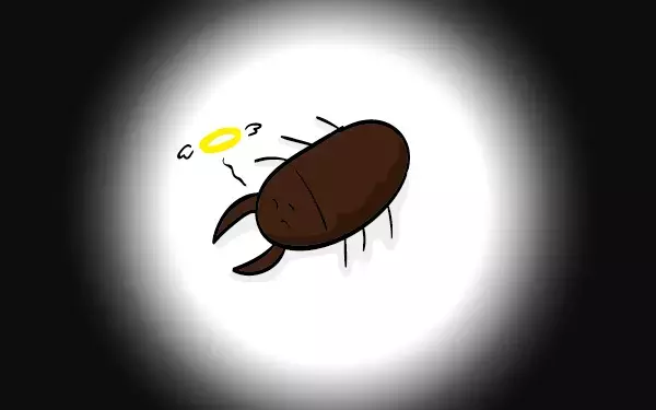 子どもに命の大切さを教えてくれた…新しい家族、二匹のクワガタ（2）【ズボラ母の三兄弟カオス日記 第43話】