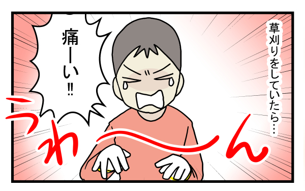 完全に駆除するのは至難の技…庭一面に生えた危険な植物の正体とは？【こどもと見つけた小さな発見日誌 Vol.12】