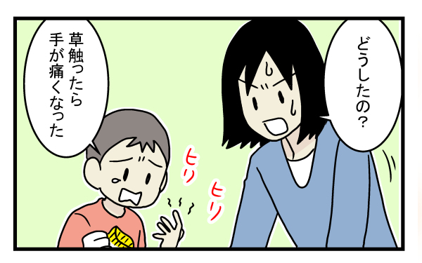 完全に駆除するのは至難の技…庭一面に生えた危険な植物の正体とは？【こどもと見つけた小さな発見日誌 Vol.12】