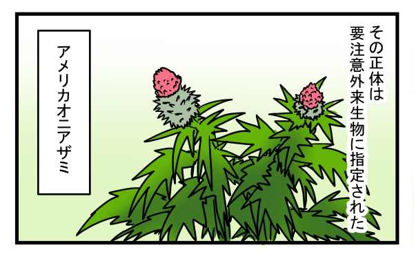 完全に駆除するのは至難の技…庭一面に生えた危険な植物の正体とは？【こどもと見つけた小さな発見日誌 Vol.12】