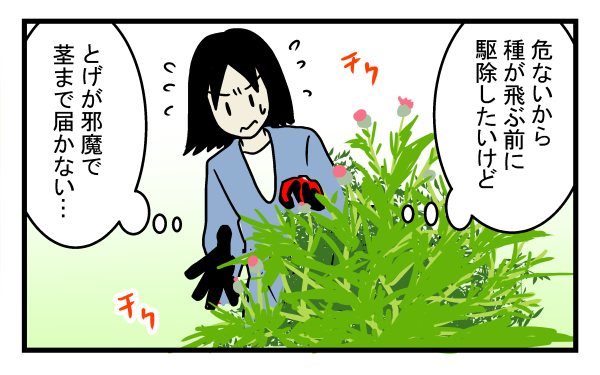 完全に駆除するのは至難の技…庭一面に生えた危険な植物の正体とは？【こどもと見つけた小さな発見日誌 Vol.12】