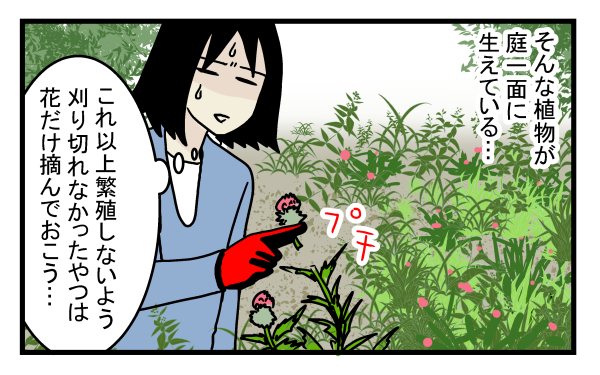 完全に駆除するのは至難の技…庭一面に生えた危険な植物の正体とは？【こどもと見つけた小さな発見日誌 Vol.12】
