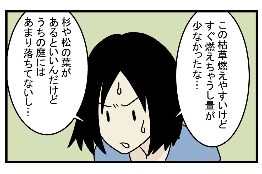 BBQやキャンプでも使える！ 覚えておくと便利な「松ぼっくり」の話【こどもと見つけた小さな発見日誌 Vol.13】