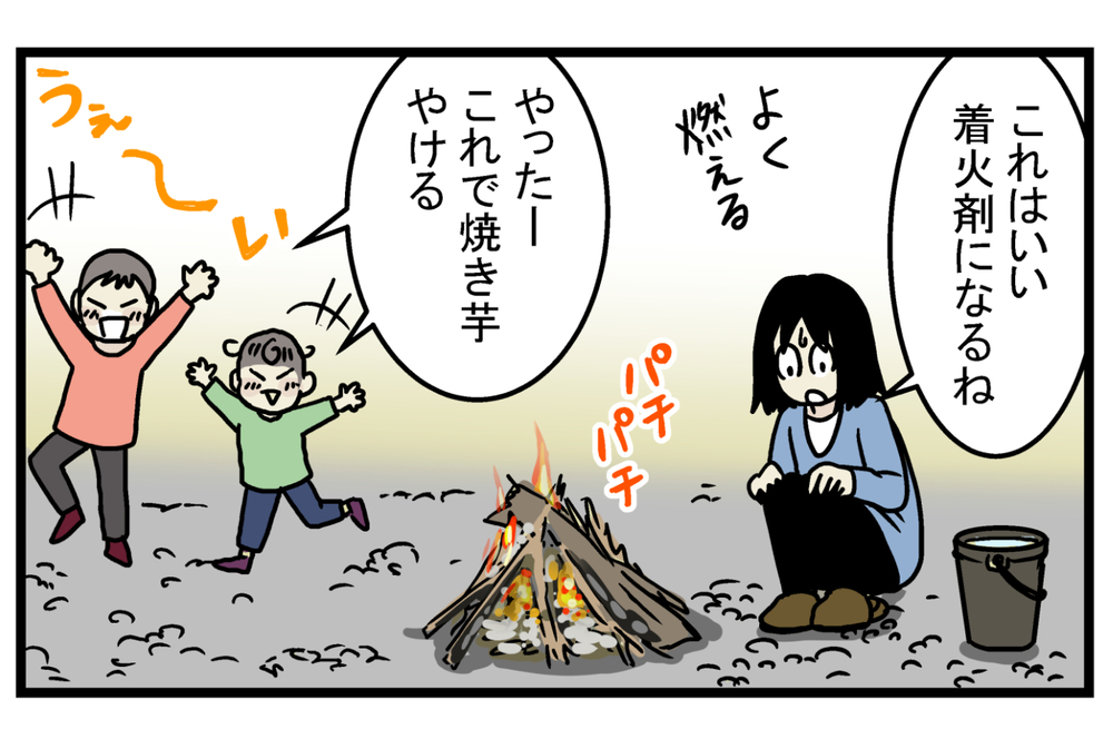 BBQやキャンプでも使える！ 覚えておくと便利な「松ぼっくり」の話【こどもと見つけた小さな発見日誌 Vol.13】
