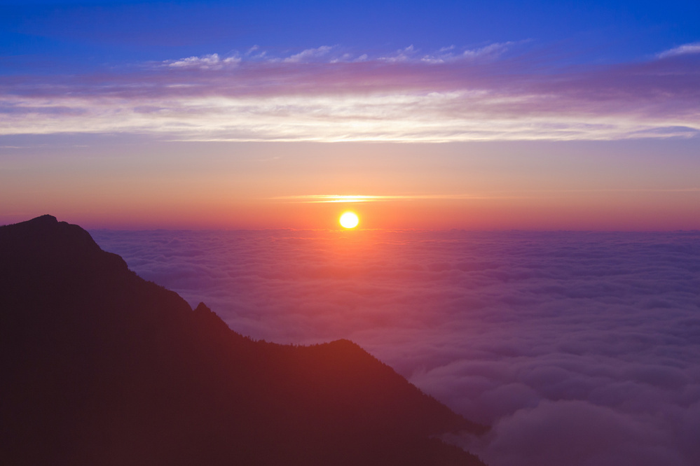 1月20日～1月26日の週間運勢占いランキング！　1位の星座は…？