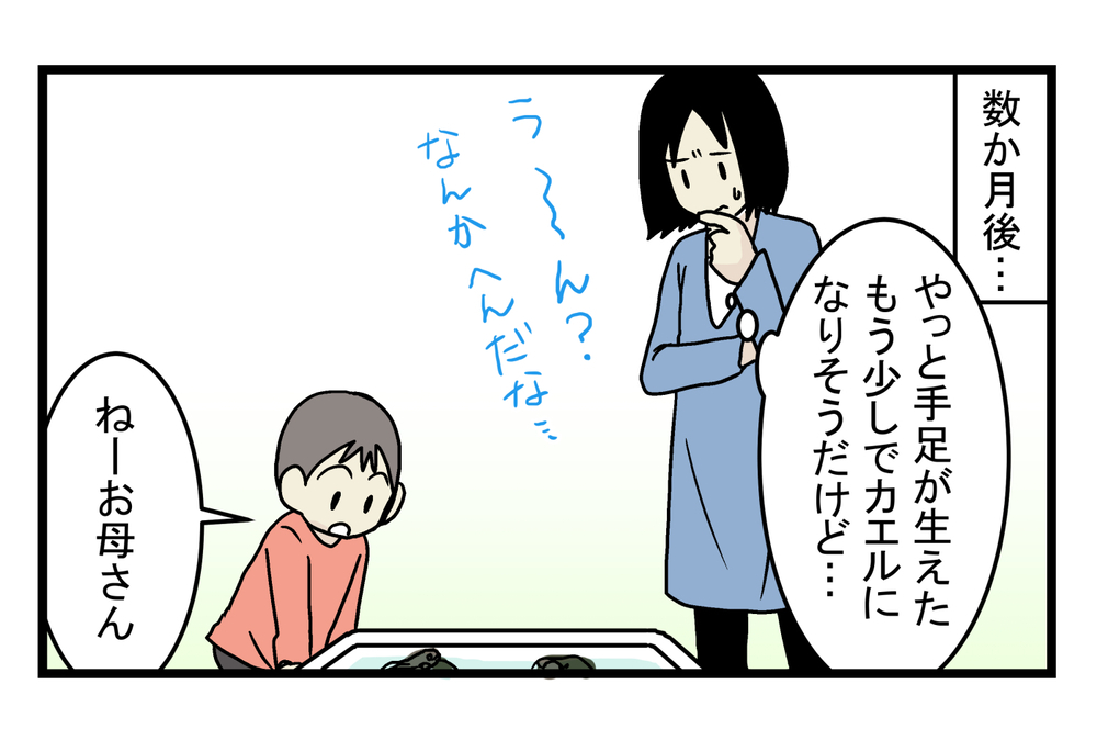 アマガエルじゃなかった！ なかなか成長しない「謎のおたまじゃくし」の正体が発覚【こどもと見つけた小さな発見日誌 Vol.14】