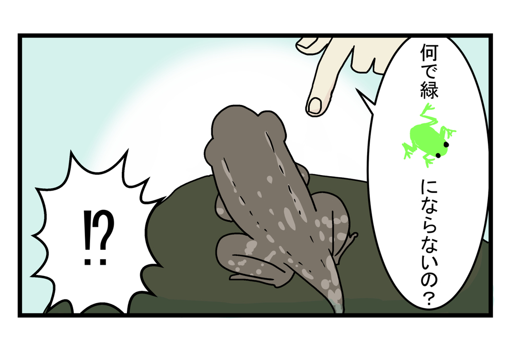 アマガエルじゃなかった！ なかなか成長しない「謎のおたまじゃくし」の正体が発覚【こどもと見つけた小さな発見日誌 Vol.14】